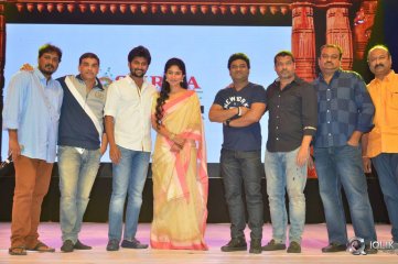MCA Movie Pre Release Event Photos